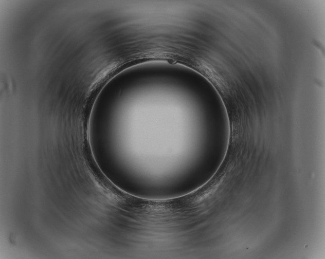 X0000091470349200708231343