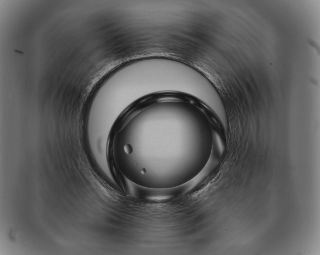 X0000091470350200708231343