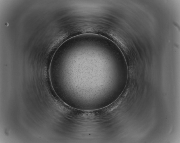 X0000091470353200708231343