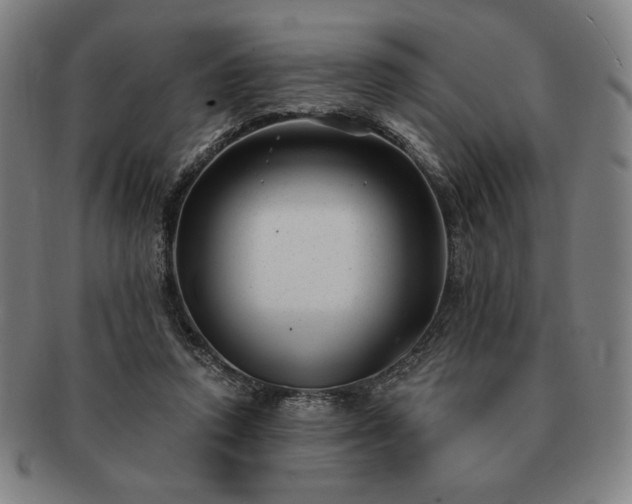 X0000091470354200708231343