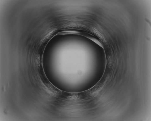 X0000091470356200708231343