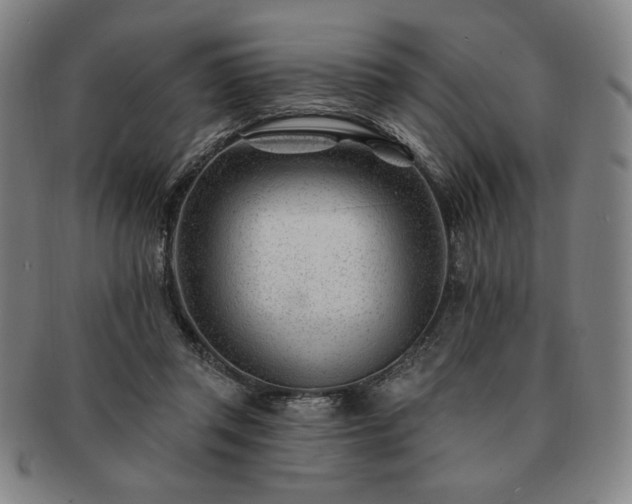 X0000091470357200708231343