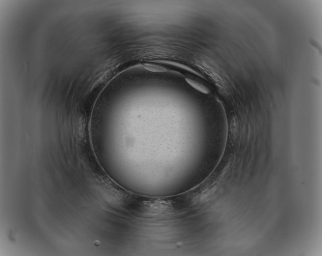 X0000091470359200708231343