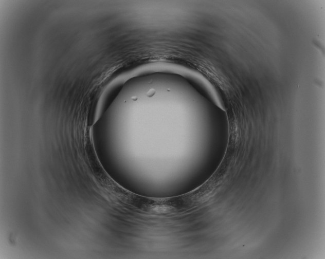 X0000091470360200708231343