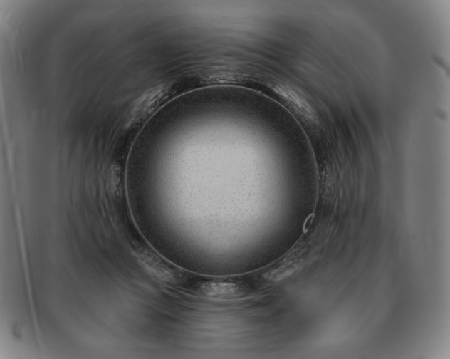 X0000091470361200708231343