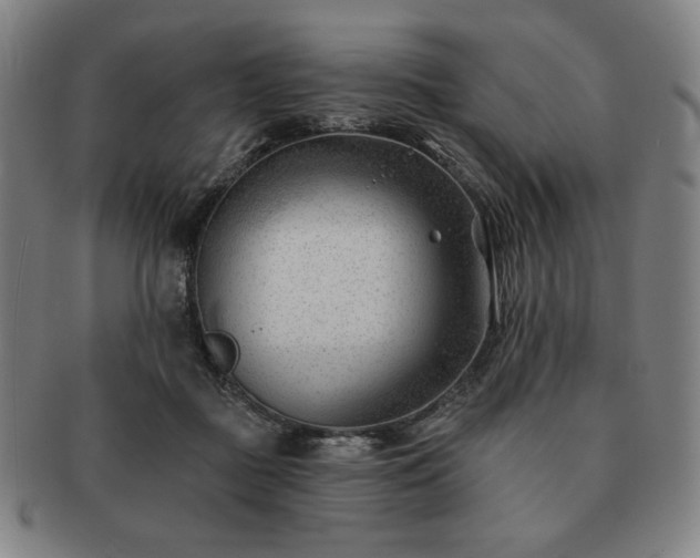 X0000091470363200708231343