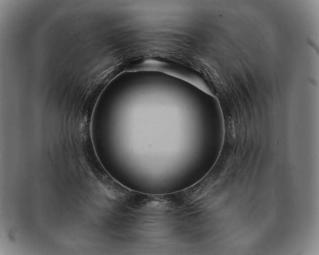 X0000091470364200708231343