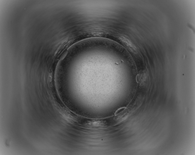 X0000091470365200708231343