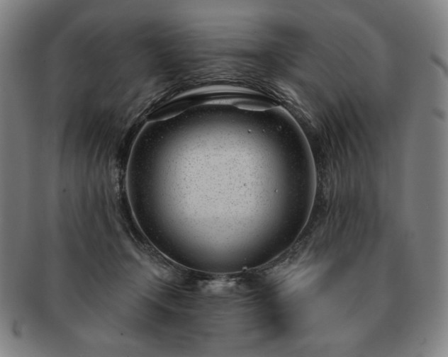 X0000091470366200708231343