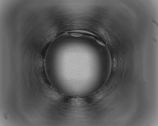 X0000091470367200708231343