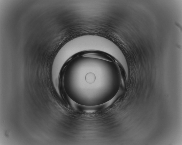 X0000091470368200708231343