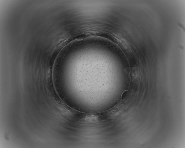 X0000091470369200708231343