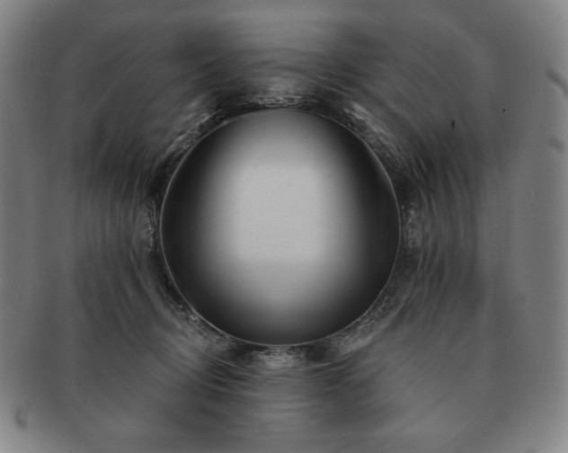 X0000091470370200708231343