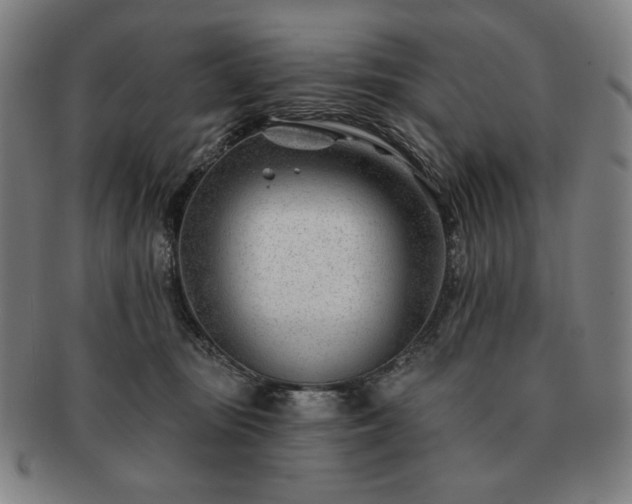 X0000091470371200708231343