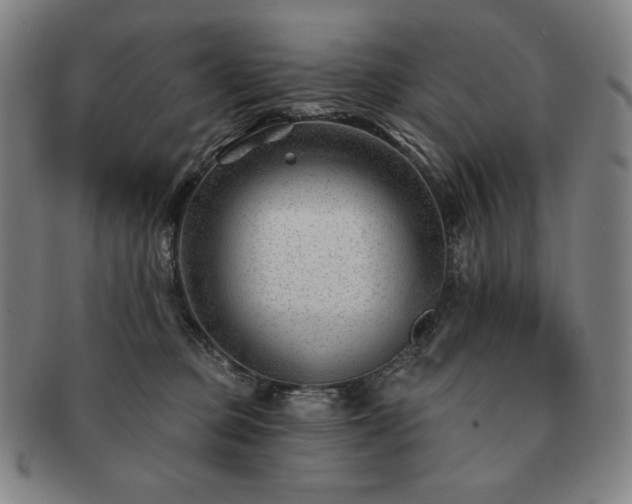 X0000091470373200708231343