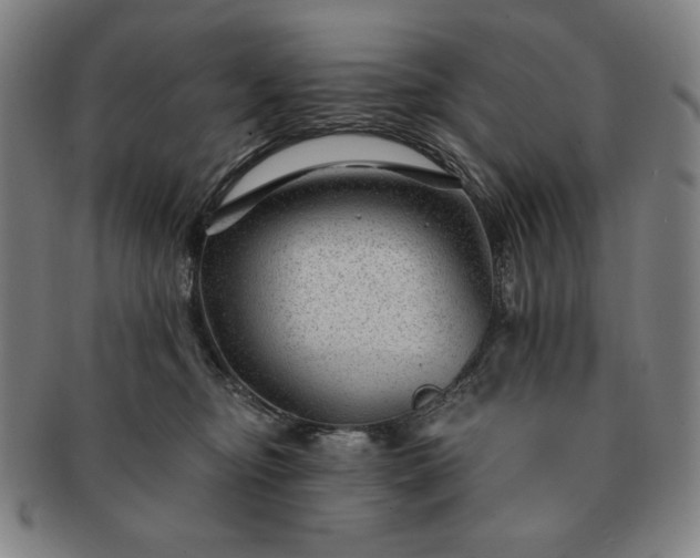 X0000091470374200708231343