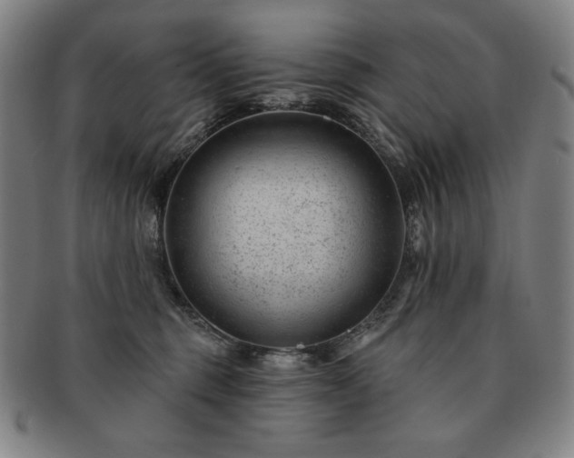 X0000091470375200708231343