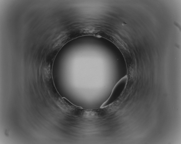 X0000091470376200708231343