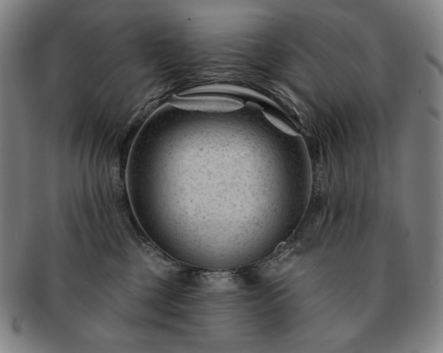 X0000091470377200708231343