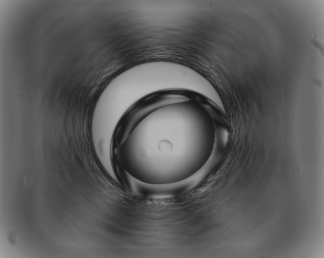 X0000091470378200708231343