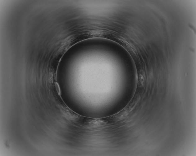 X0000091470379200708231343