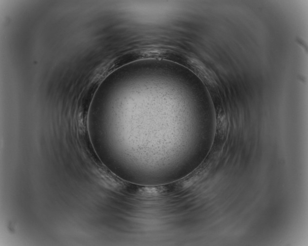 X0000091470381200708231344