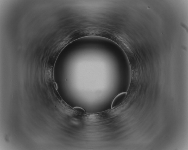 X0000091470382200708231344