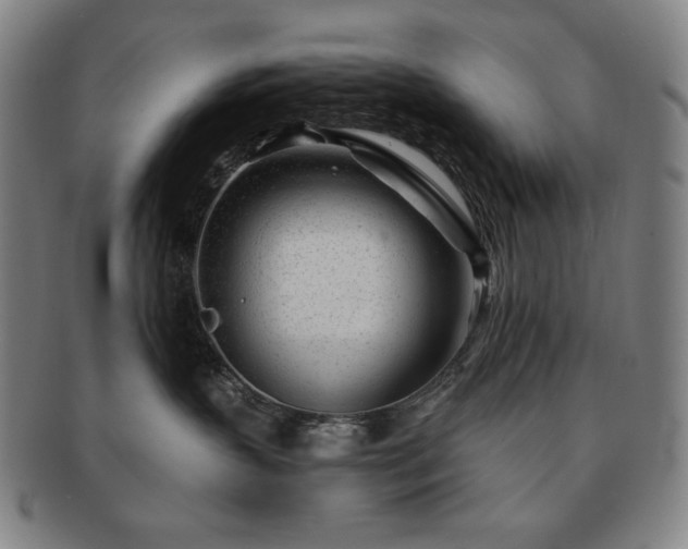 X0000091470383200708231344