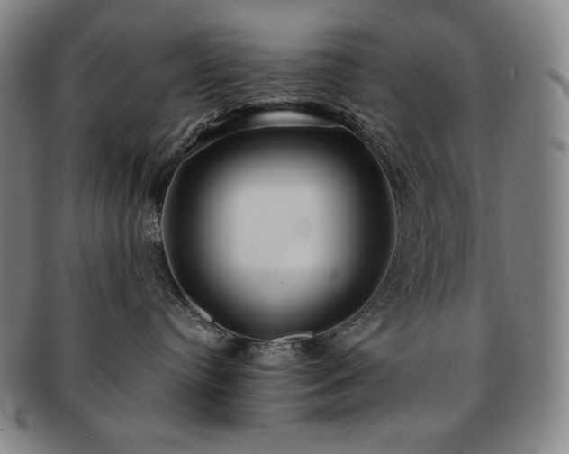 X0000091470384200708231344