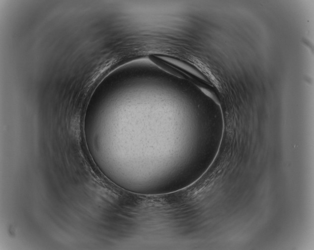 X0000091470386200708231343