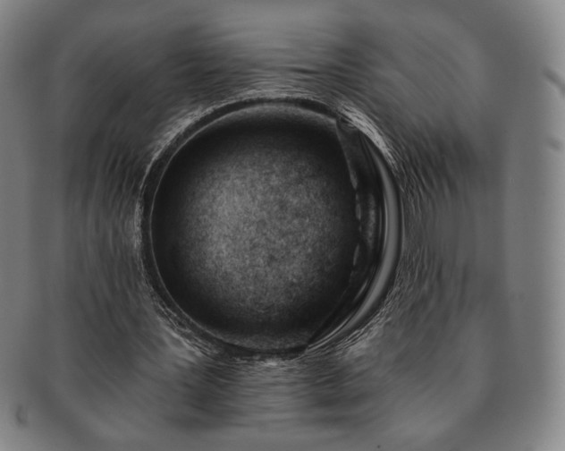 X0000091470387200708231343