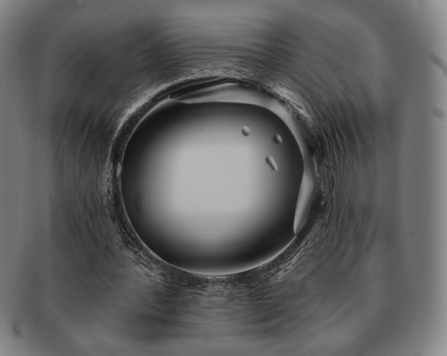 X0000091470388200708231343