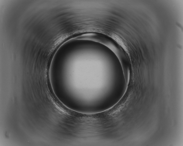 X0000091470389200708231343