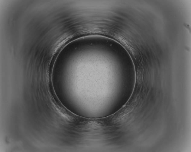 X0000091470390200708231343