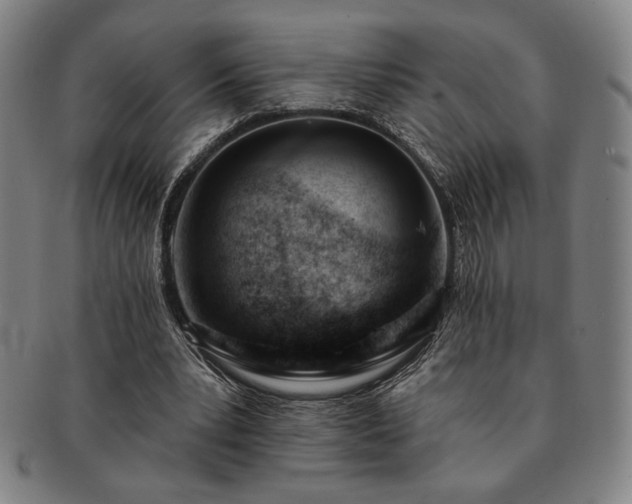 X0000091470391200708231343