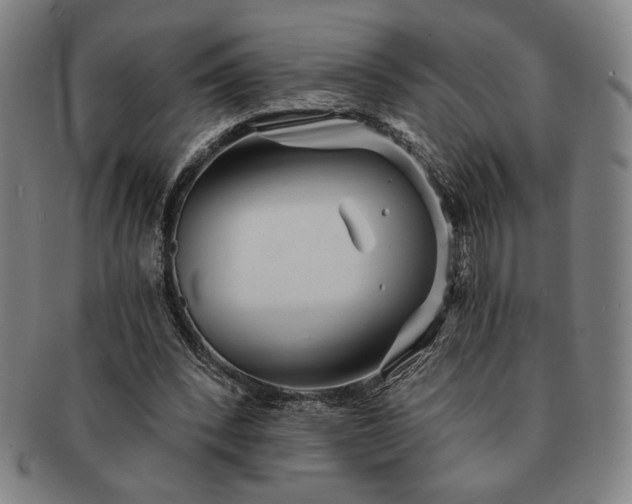 X0000091470392200708231343