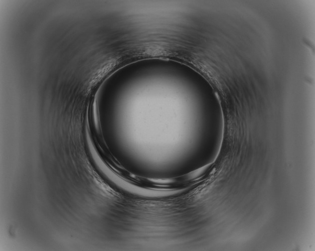 X0000091470393200708231343