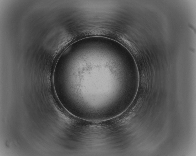 X0000091470394200708231343