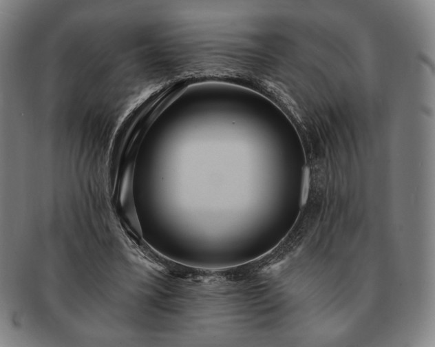 X0000091470395200708231343