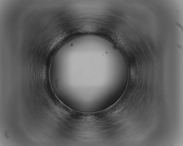 X0000091470396200708231343