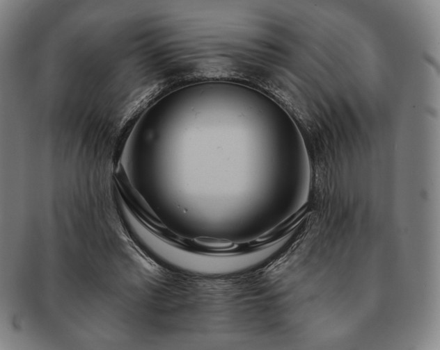 X0000091470397200708231343