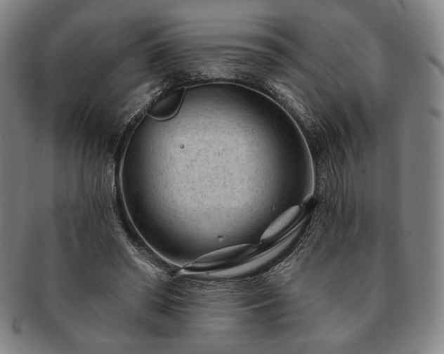 X0000091470398200708231343