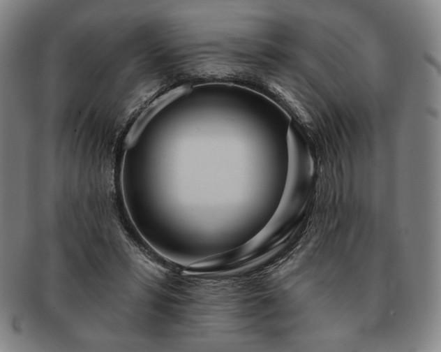 X0000091470399200708231343