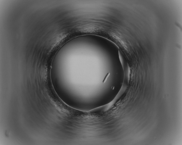 X0000091470400200708231343