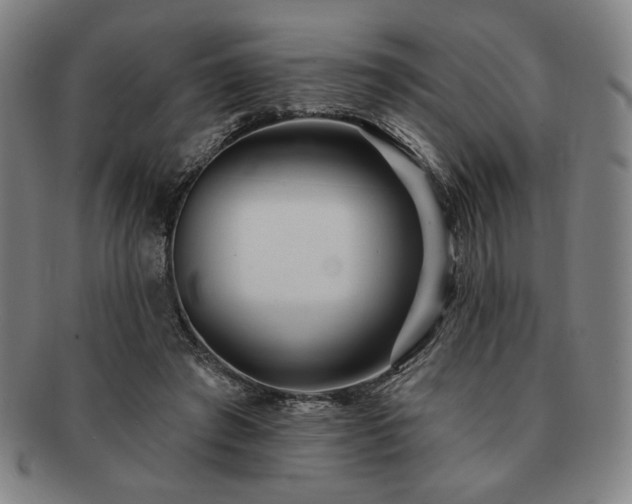 X0000091470401200708231343