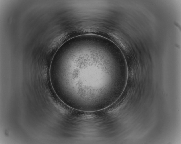 X0000091470402200708231343