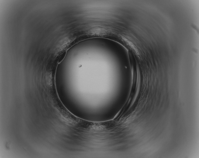 X0000091470403200708231343