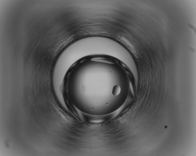 X0000091470405200708231343