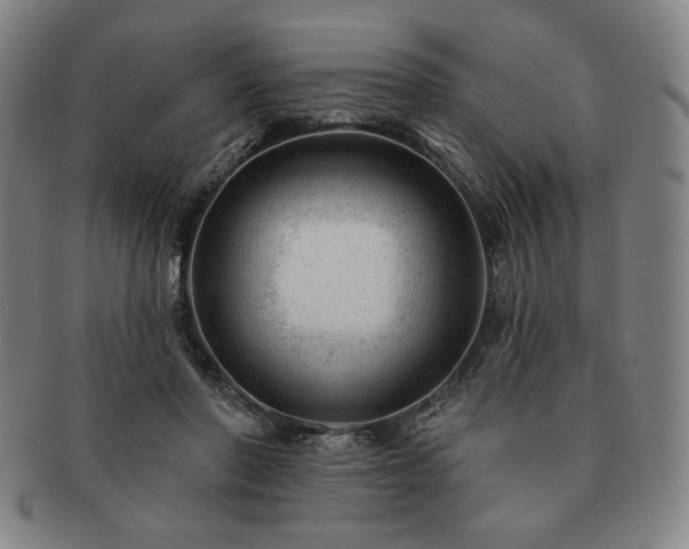 X0000091470406200708231343