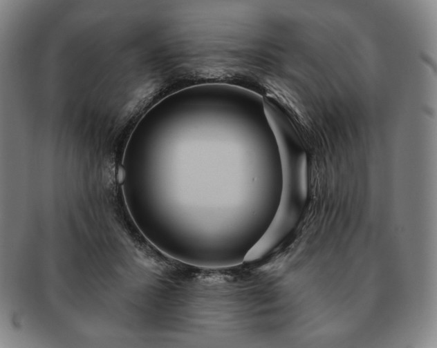 X0000091470407200708231343